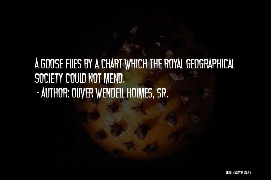 Oliver Wendell Holmes, Sr. Quotes: A Goose Flies By A Chart Which The Royal Geographical Society Could Not Mend.
