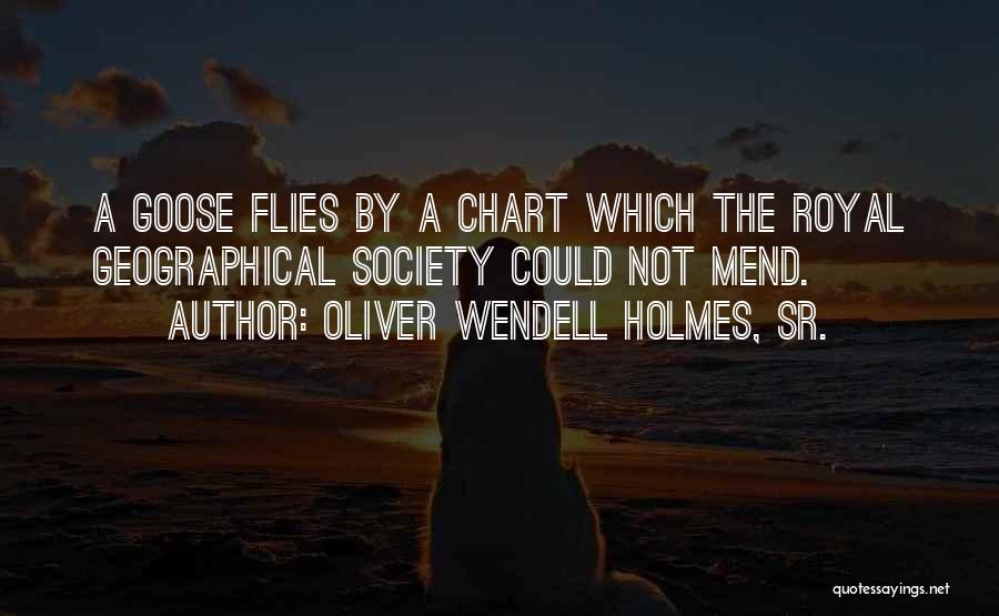 Oliver Wendell Holmes, Sr. Quotes: A Goose Flies By A Chart Which The Royal Geographical Society Could Not Mend.