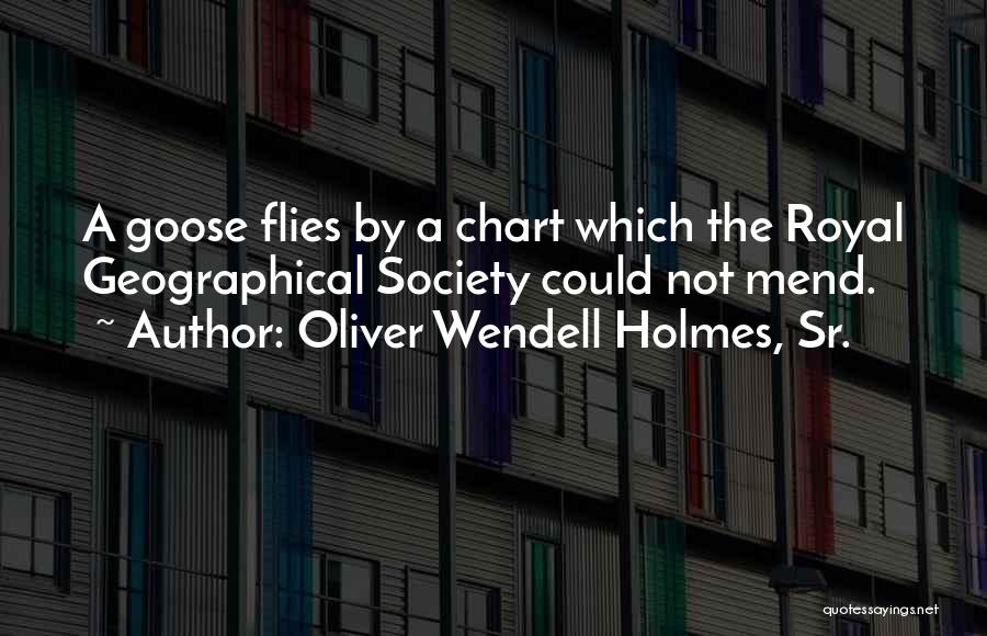Oliver Wendell Holmes, Sr. Quotes: A Goose Flies By A Chart Which The Royal Geographical Society Could Not Mend.