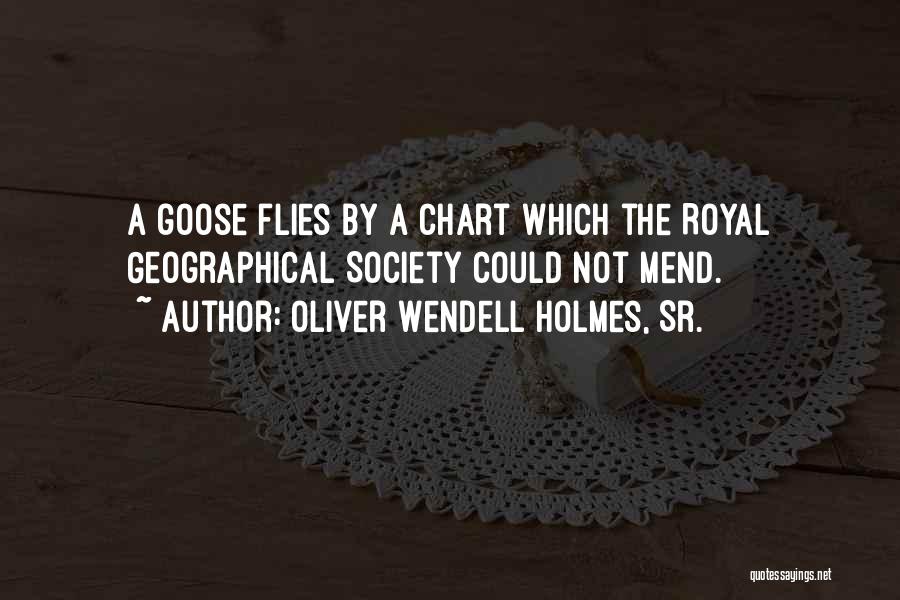 Oliver Wendell Holmes, Sr. Quotes: A Goose Flies By A Chart Which The Royal Geographical Society Could Not Mend.
