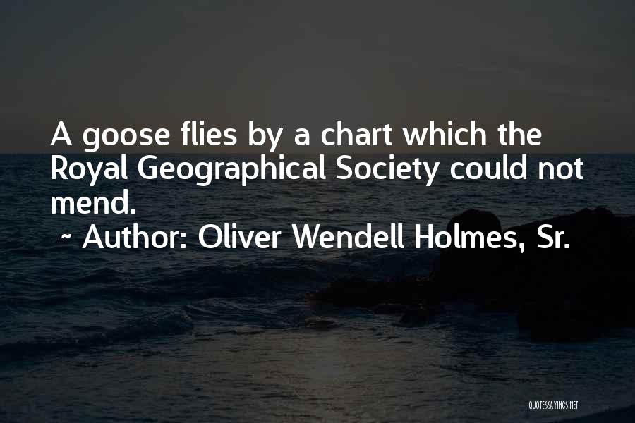 Oliver Wendell Holmes, Sr. Quotes: A Goose Flies By A Chart Which The Royal Geographical Society Could Not Mend.