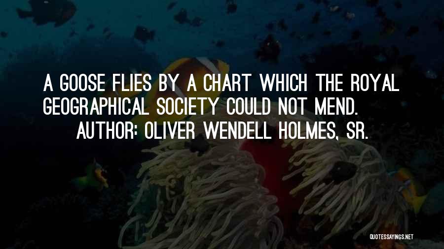 Oliver Wendell Holmes, Sr. Quotes: A Goose Flies By A Chart Which The Royal Geographical Society Could Not Mend.