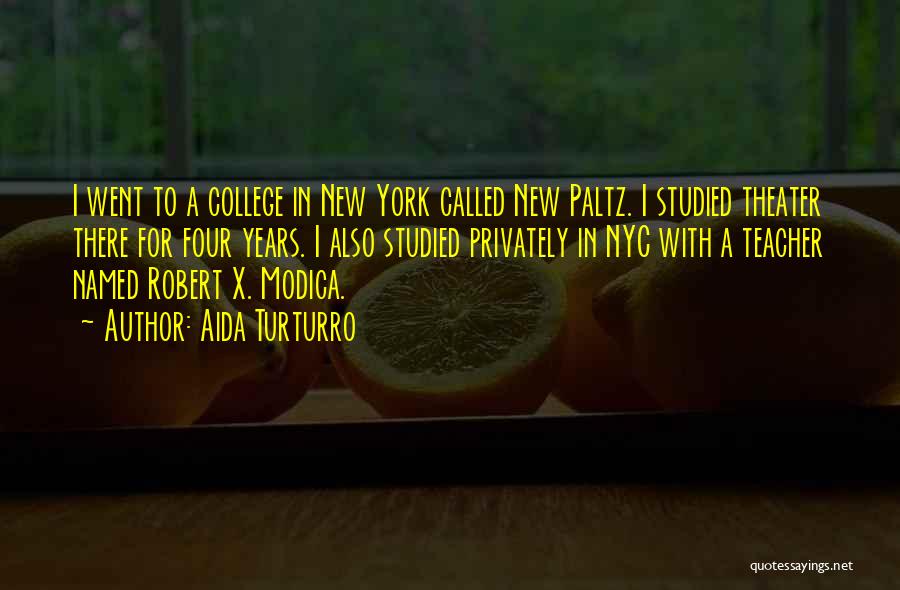 Aida Turturro Quotes: I Went To A College In New York Called New Paltz. I Studied Theater There For Four Years. I Also