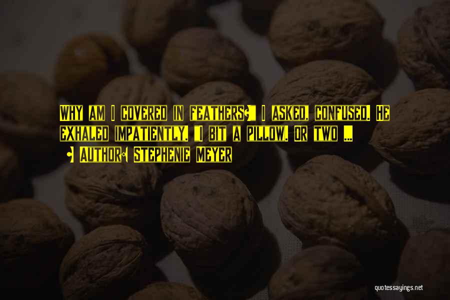Stephenie Meyer Quotes: Why Am I Covered In Feathers? I Asked, Confused. He Exhaled Impatiently. I Bit A Pillow. Or Two ...