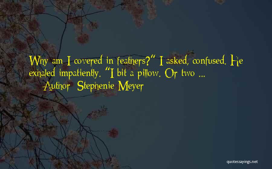 Stephenie Meyer Quotes: Why Am I Covered In Feathers? I Asked, Confused. He Exhaled Impatiently. I Bit A Pillow. Or Two ...