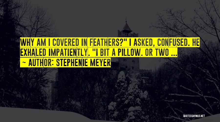 Stephenie Meyer Quotes: Why Am I Covered In Feathers? I Asked, Confused. He Exhaled Impatiently. I Bit A Pillow. Or Two ...