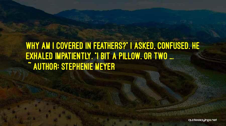 Stephenie Meyer Quotes: Why Am I Covered In Feathers? I Asked, Confused. He Exhaled Impatiently. I Bit A Pillow. Or Two ...