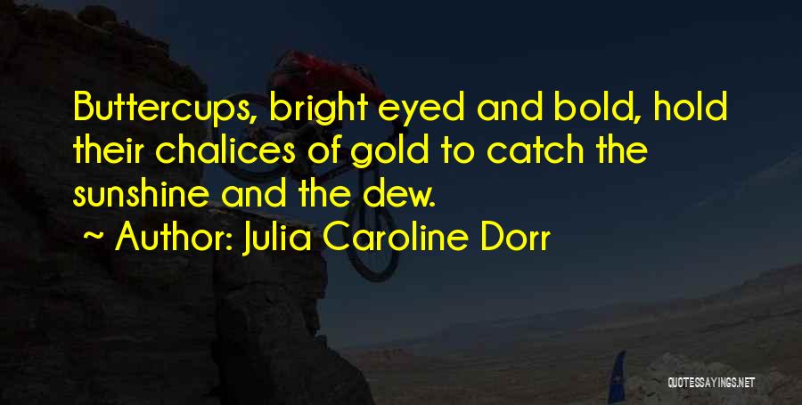 Julia Caroline Dorr Quotes: Buttercups, Bright Eyed And Bold, Hold Their Chalices Of Gold To Catch The Sunshine And The Dew.