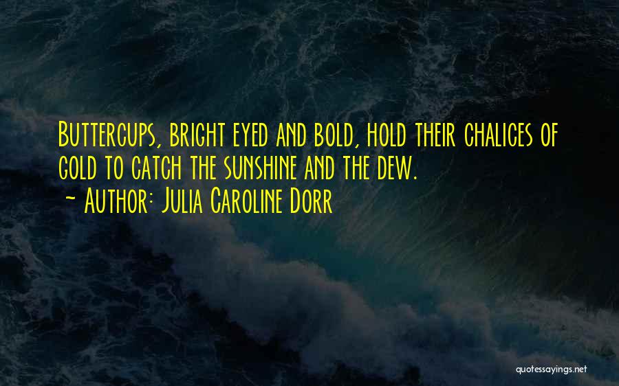 Julia Caroline Dorr Quotes: Buttercups, Bright Eyed And Bold, Hold Their Chalices Of Gold To Catch The Sunshine And The Dew.
