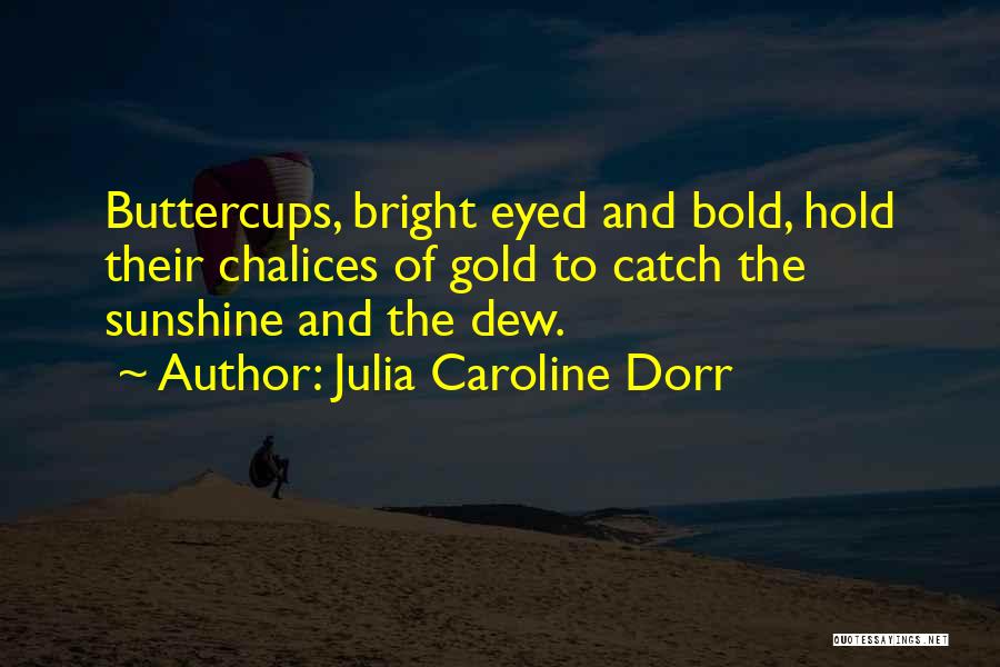 Julia Caroline Dorr Quotes: Buttercups, Bright Eyed And Bold, Hold Their Chalices Of Gold To Catch The Sunshine And The Dew.