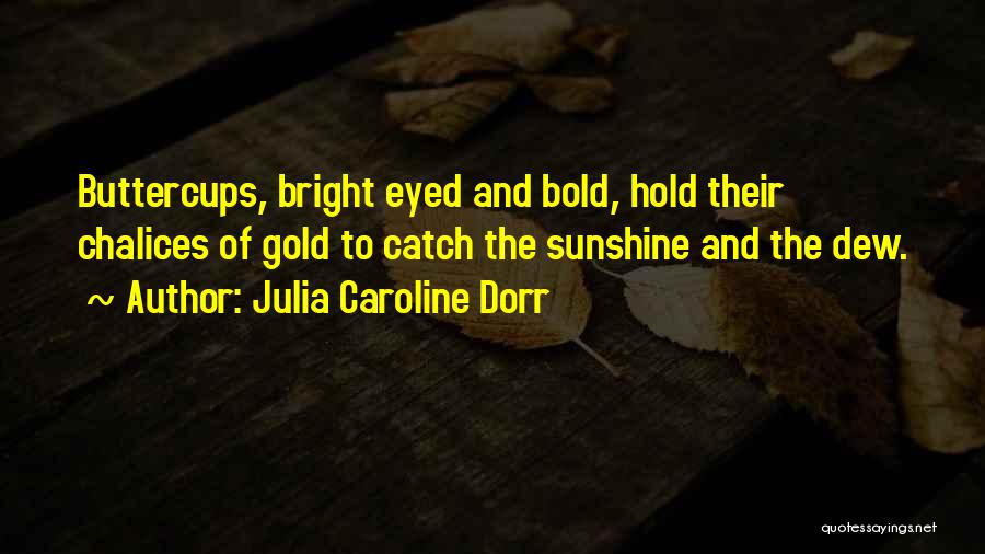 Julia Caroline Dorr Quotes: Buttercups, Bright Eyed And Bold, Hold Their Chalices Of Gold To Catch The Sunshine And The Dew.