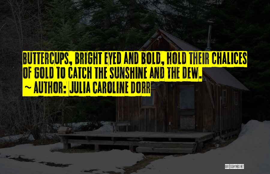 Julia Caroline Dorr Quotes: Buttercups, Bright Eyed And Bold, Hold Their Chalices Of Gold To Catch The Sunshine And The Dew.