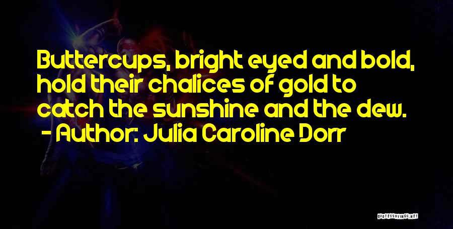 Julia Caroline Dorr Quotes: Buttercups, Bright Eyed And Bold, Hold Their Chalices Of Gold To Catch The Sunshine And The Dew.
