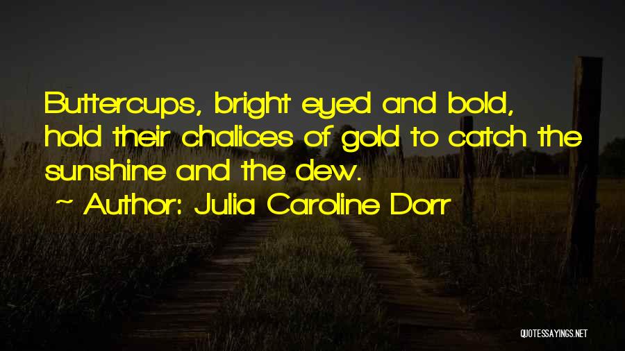 Julia Caroline Dorr Quotes: Buttercups, Bright Eyed And Bold, Hold Their Chalices Of Gold To Catch The Sunshine And The Dew.
