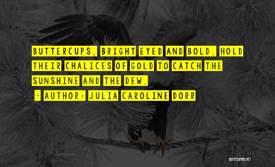 Julia Caroline Dorr Quotes: Buttercups, Bright Eyed And Bold, Hold Their Chalices Of Gold To Catch The Sunshine And The Dew.