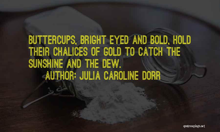 Julia Caroline Dorr Quotes: Buttercups, Bright Eyed And Bold, Hold Their Chalices Of Gold To Catch The Sunshine And The Dew.