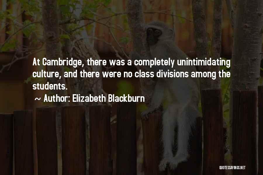 Elizabeth Blackburn Quotes: At Cambridge, There Was A Completely Unintimidating Culture, And There Were No Class Divisions Among The Students.