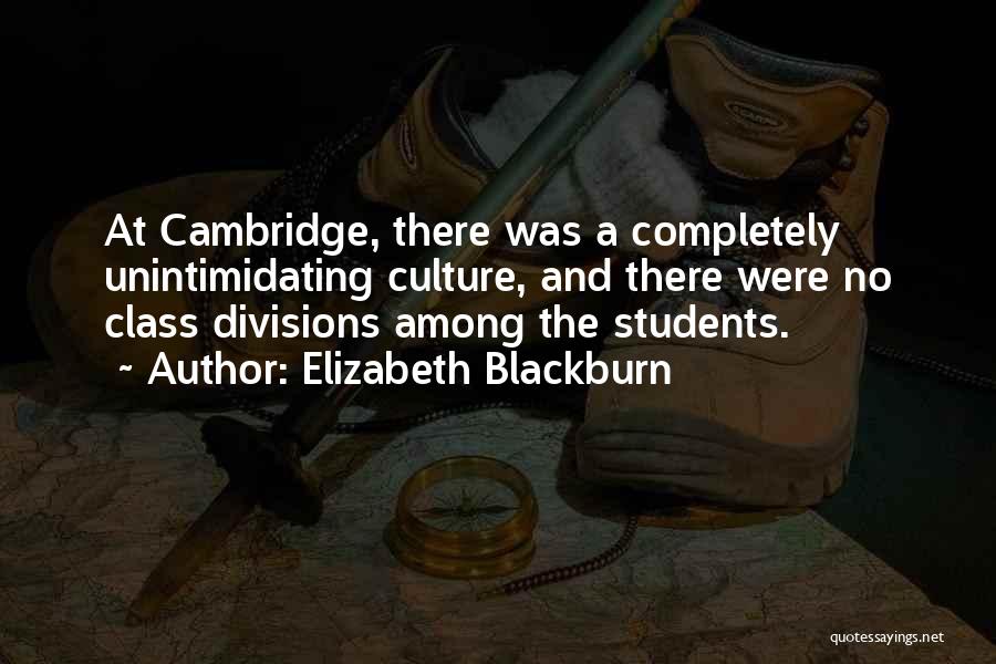 Elizabeth Blackburn Quotes: At Cambridge, There Was A Completely Unintimidating Culture, And There Were No Class Divisions Among The Students.