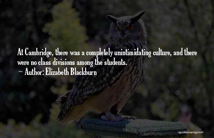 Elizabeth Blackburn Quotes: At Cambridge, There Was A Completely Unintimidating Culture, And There Were No Class Divisions Among The Students.