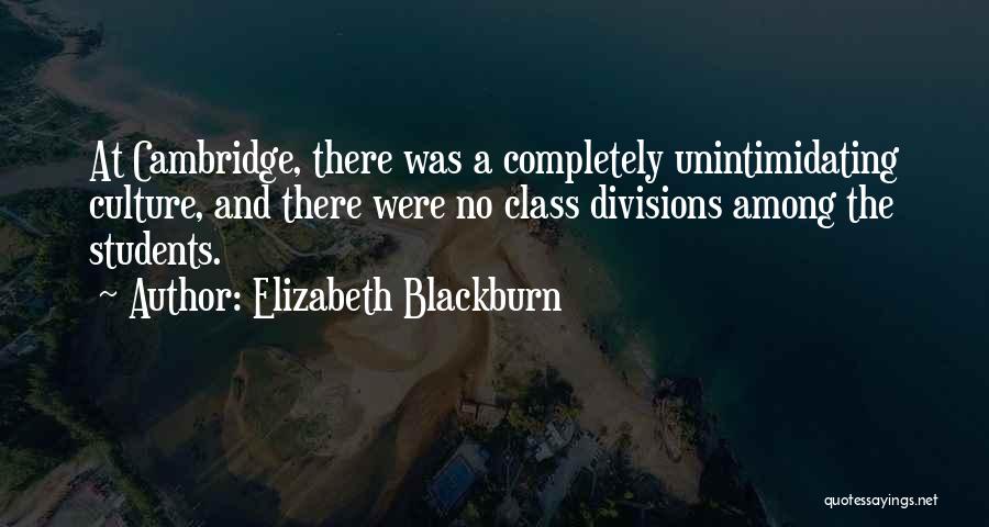 Elizabeth Blackburn Quotes: At Cambridge, There Was A Completely Unintimidating Culture, And There Were No Class Divisions Among The Students.