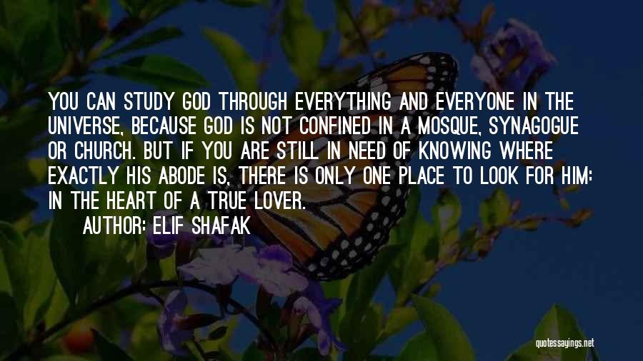 Elif Shafak Quotes: You Can Study God Through Everything And Everyone In The Universe, Because God Is Not Confined In A Mosque, Synagogue