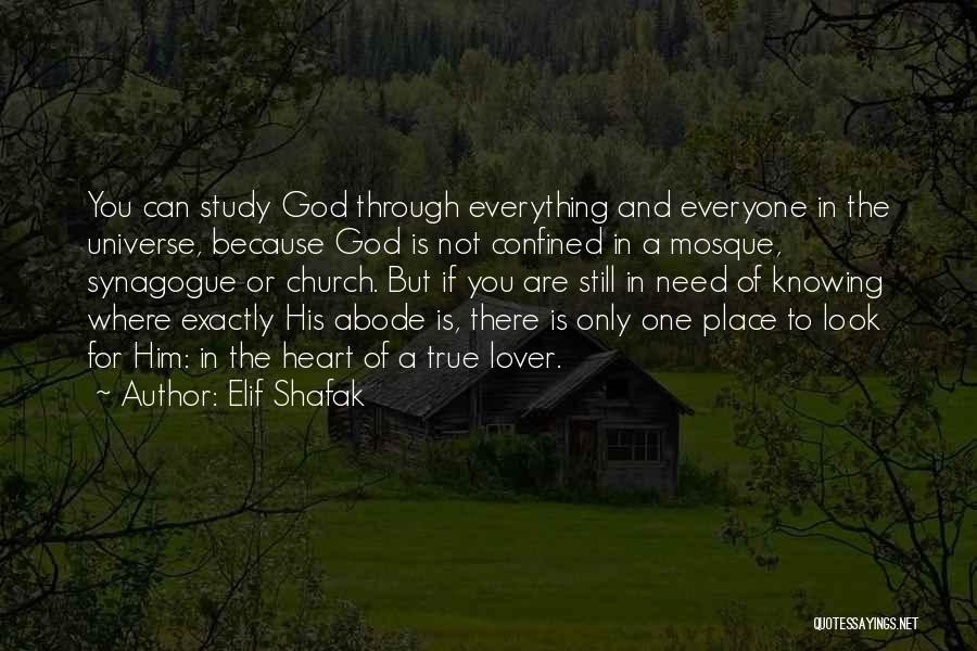 Elif Shafak Quotes: You Can Study God Through Everything And Everyone In The Universe, Because God Is Not Confined In A Mosque, Synagogue