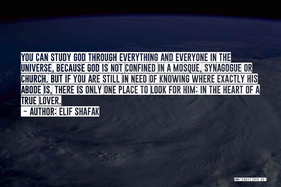 Elif Shafak Quotes: You Can Study God Through Everything And Everyone In The Universe, Because God Is Not Confined In A Mosque, Synagogue