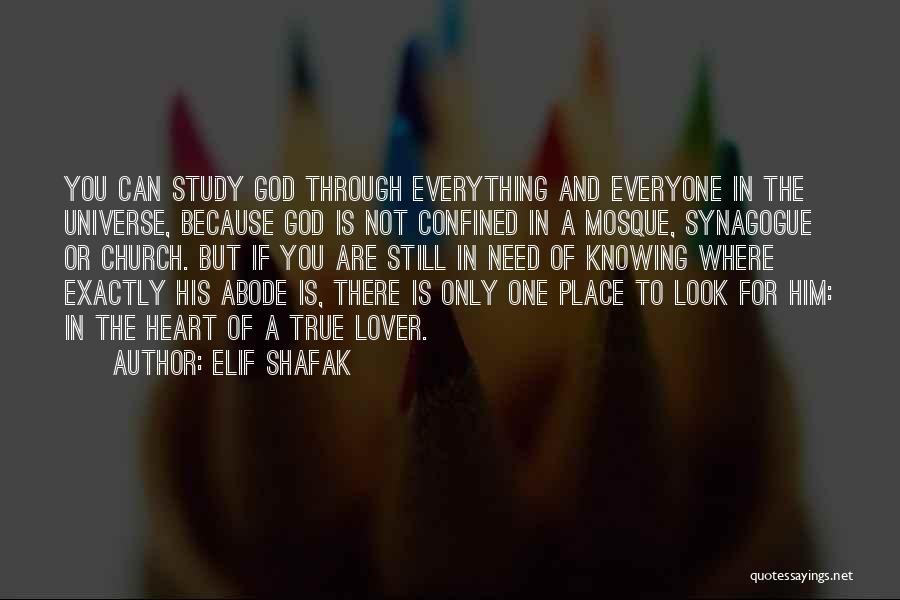 Elif Shafak Quotes: You Can Study God Through Everything And Everyone In The Universe, Because God Is Not Confined In A Mosque, Synagogue