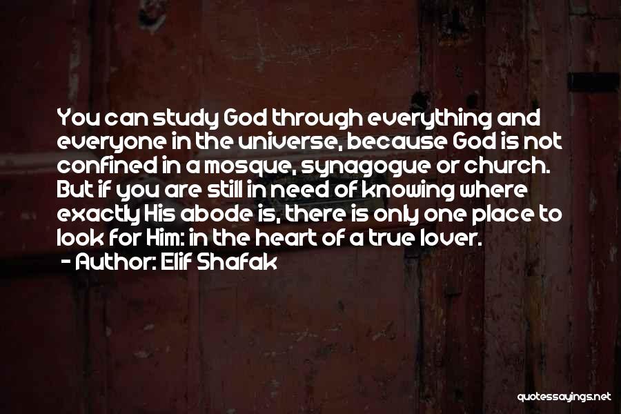 Elif Shafak Quotes: You Can Study God Through Everything And Everyone In The Universe, Because God Is Not Confined In A Mosque, Synagogue