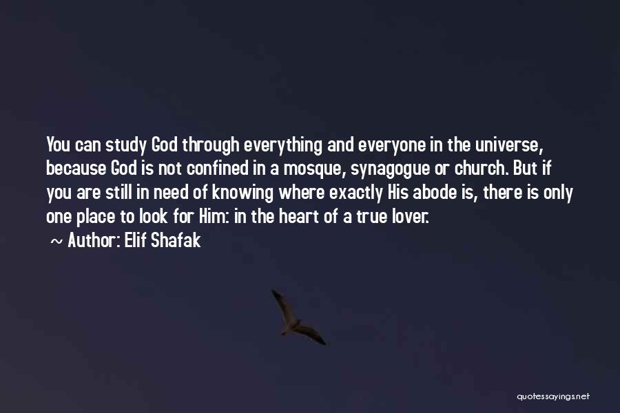 Elif Shafak Quotes: You Can Study God Through Everything And Everyone In The Universe, Because God Is Not Confined In A Mosque, Synagogue