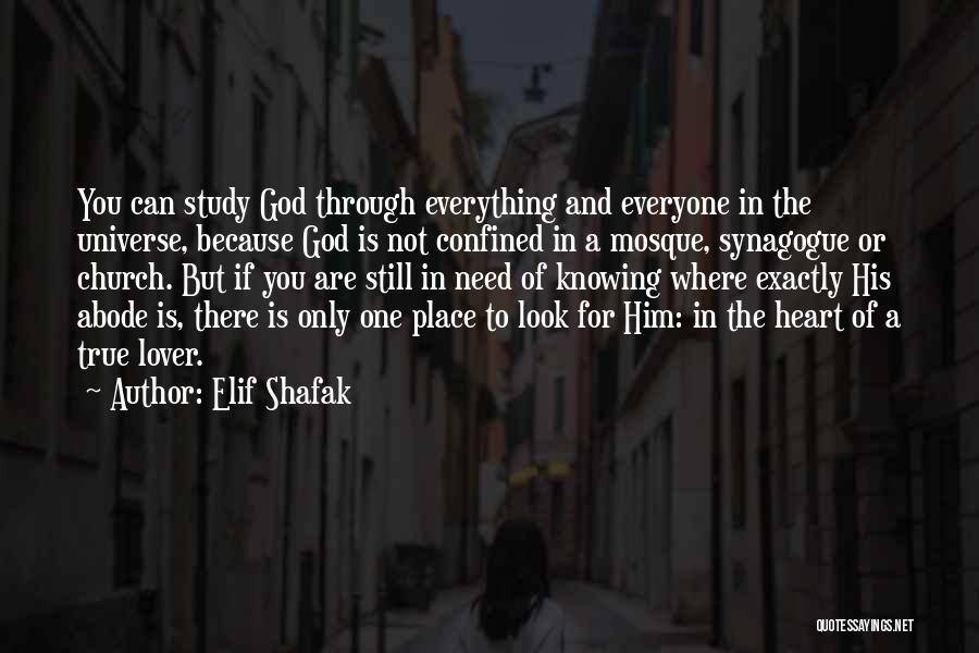 Elif Shafak Quotes: You Can Study God Through Everything And Everyone In The Universe, Because God Is Not Confined In A Mosque, Synagogue