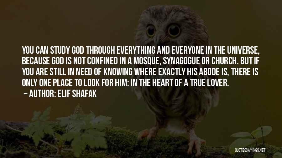 Elif Shafak Quotes: You Can Study God Through Everything And Everyone In The Universe, Because God Is Not Confined In A Mosque, Synagogue