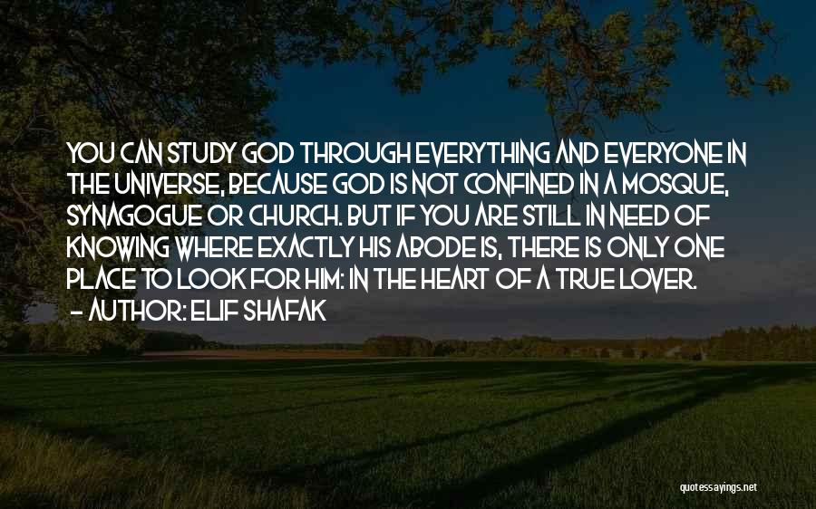 Elif Shafak Quotes: You Can Study God Through Everything And Everyone In The Universe, Because God Is Not Confined In A Mosque, Synagogue
