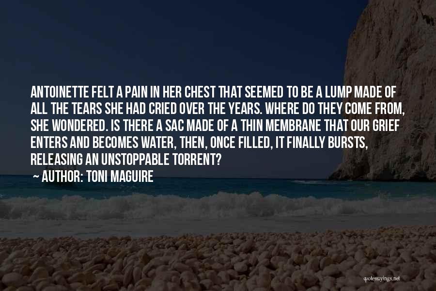 Toni Maguire Quotes: Antoinette Felt A Pain In Her Chest That Seemed To Be A Lump Made Of All The Tears She Had