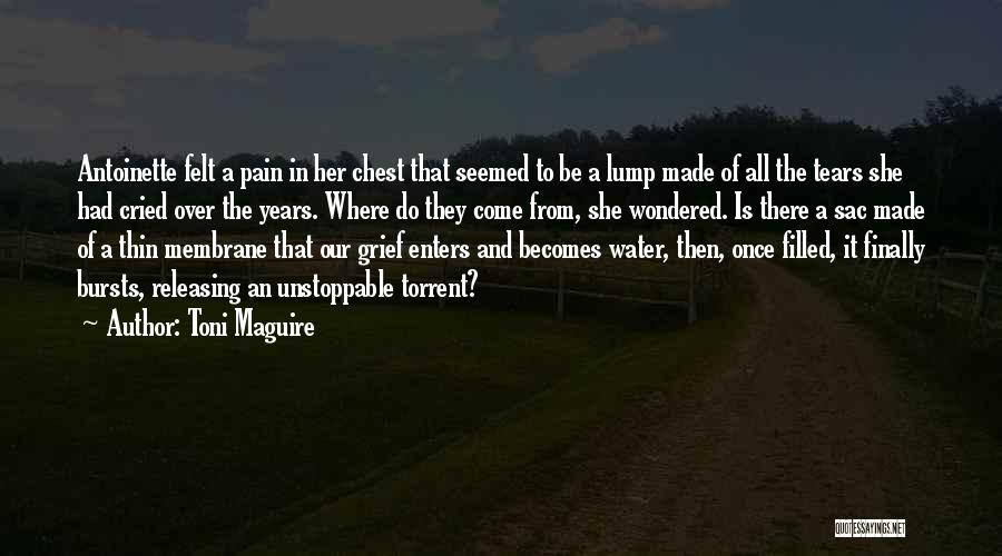 Toni Maguire Quotes: Antoinette Felt A Pain In Her Chest That Seemed To Be A Lump Made Of All The Tears She Had