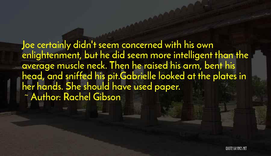 Rachel Gibson Quotes: Joe Certainly Didn't Seem Concerned With His Own Enlightenment, But He Did Seem More Intelligent Than The Average Muscle Neck.