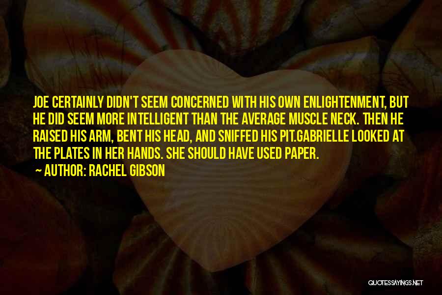 Rachel Gibson Quotes: Joe Certainly Didn't Seem Concerned With His Own Enlightenment, But He Did Seem More Intelligent Than The Average Muscle Neck.
