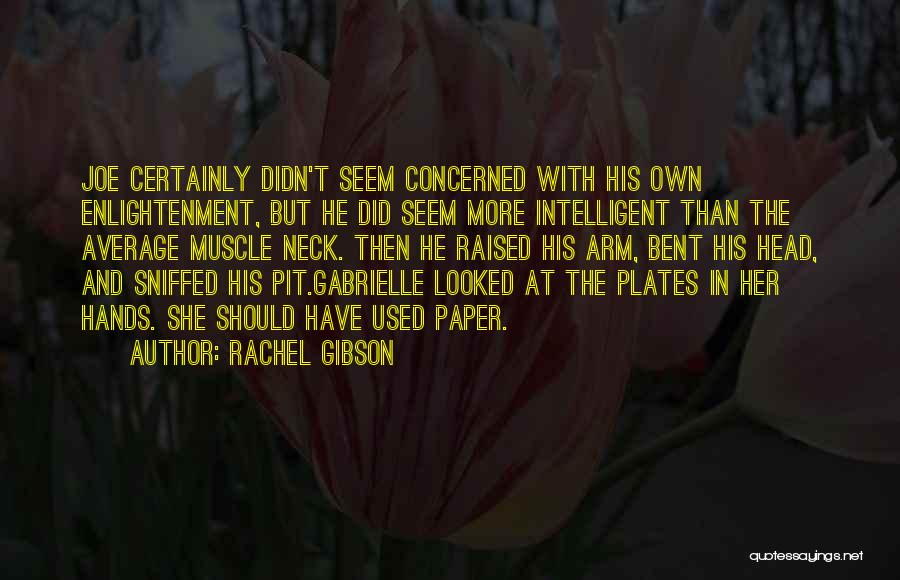 Rachel Gibson Quotes: Joe Certainly Didn't Seem Concerned With His Own Enlightenment, But He Did Seem More Intelligent Than The Average Muscle Neck.
