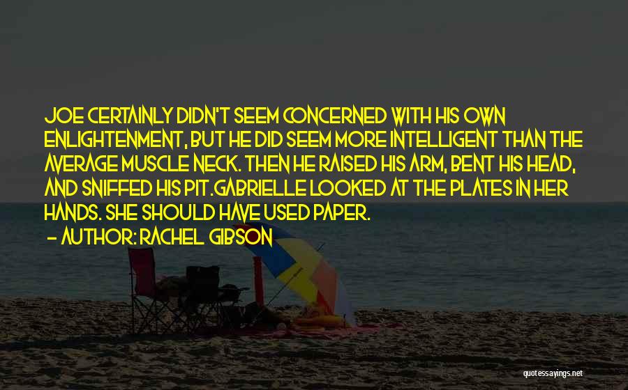 Rachel Gibson Quotes: Joe Certainly Didn't Seem Concerned With His Own Enlightenment, But He Did Seem More Intelligent Than The Average Muscle Neck.