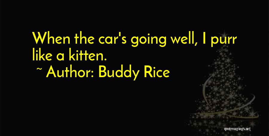 Buddy Rice Quotes: When The Car's Going Well, I Purr Like A Kitten.