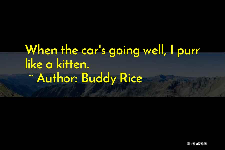 Buddy Rice Quotes: When The Car's Going Well, I Purr Like A Kitten.