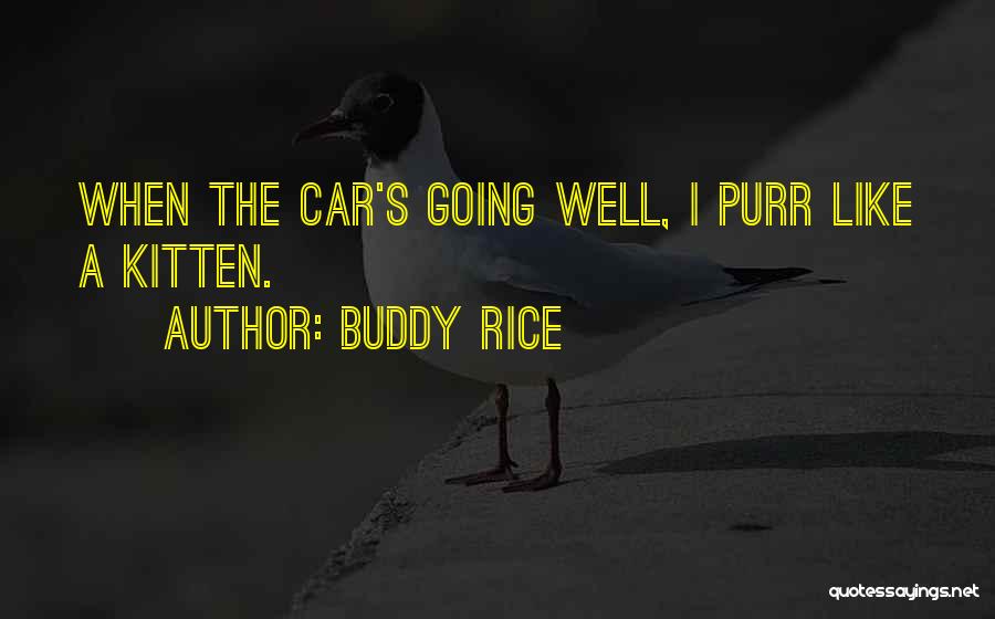 Buddy Rice Quotes: When The Car's Going Well, I Purr Like A Kitten.