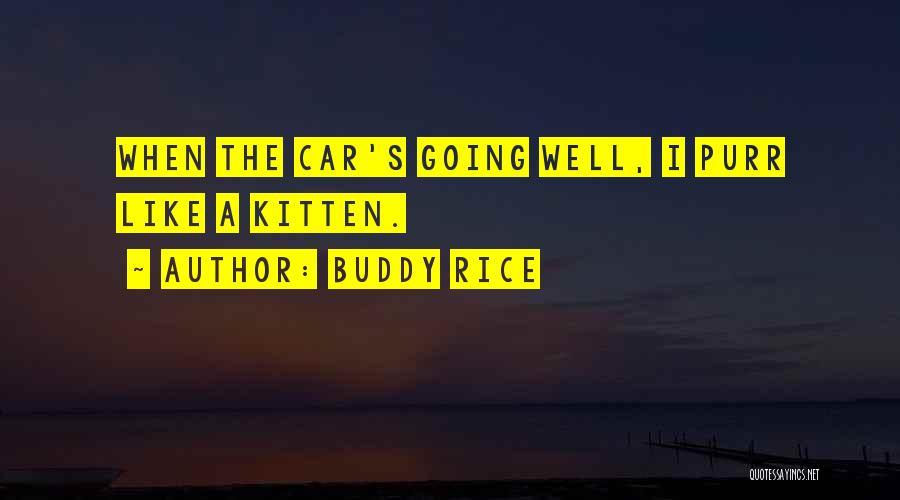 Buddy Rice Quotes: When The Car's Going Well, I Purr Like A Kitten.