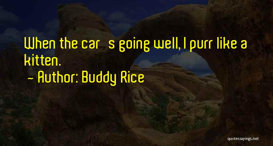 Buddy Rice Quotes: When The Car's Going Well, I Purr Like A Kitten.