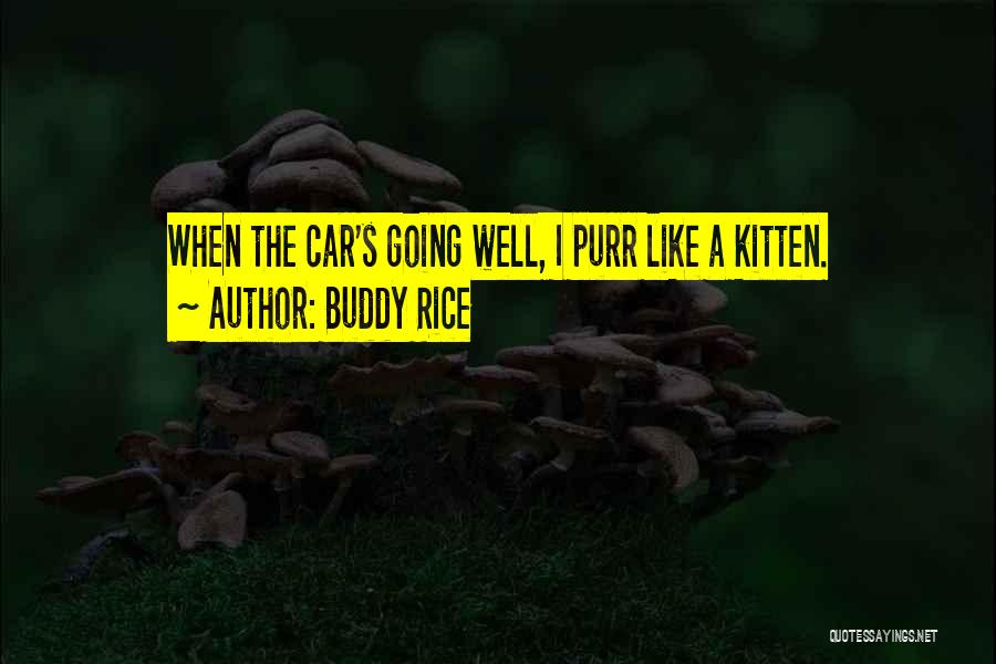 Buddy Rice Quotes: When The Car's Going Well, I Purr Like A Kitten.