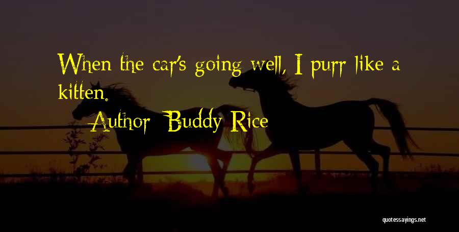 Buddy Rice Quotes: When The Car's Going Well, I Purr Like A Kitten.