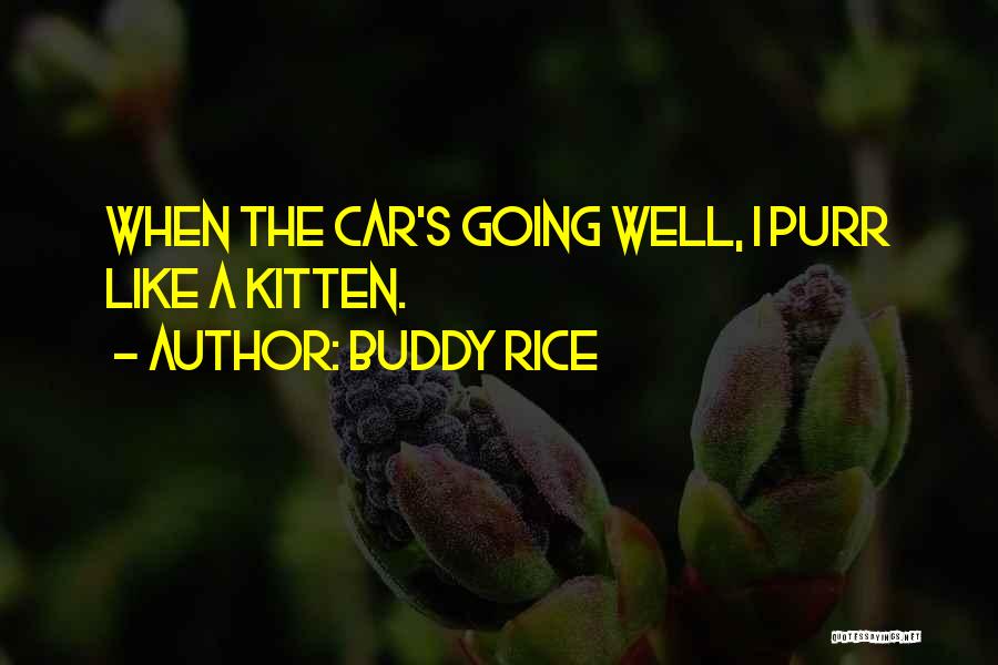 Buddy Rice Quotes: When The Car's Going Well, I Purr Like A Kitten.
