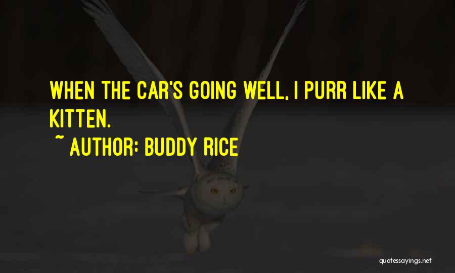 Buddy Rice Quotes: When The Car's Going Well, I Purr Like A Kitten.
