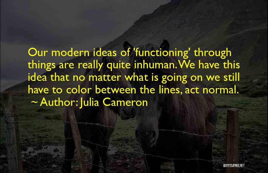 Julia Cameron Quotes: Our Modern Ideas Of 'functioning' Through Things Are Really Quite Inhuman. We Have This Idea That No Matter What Is