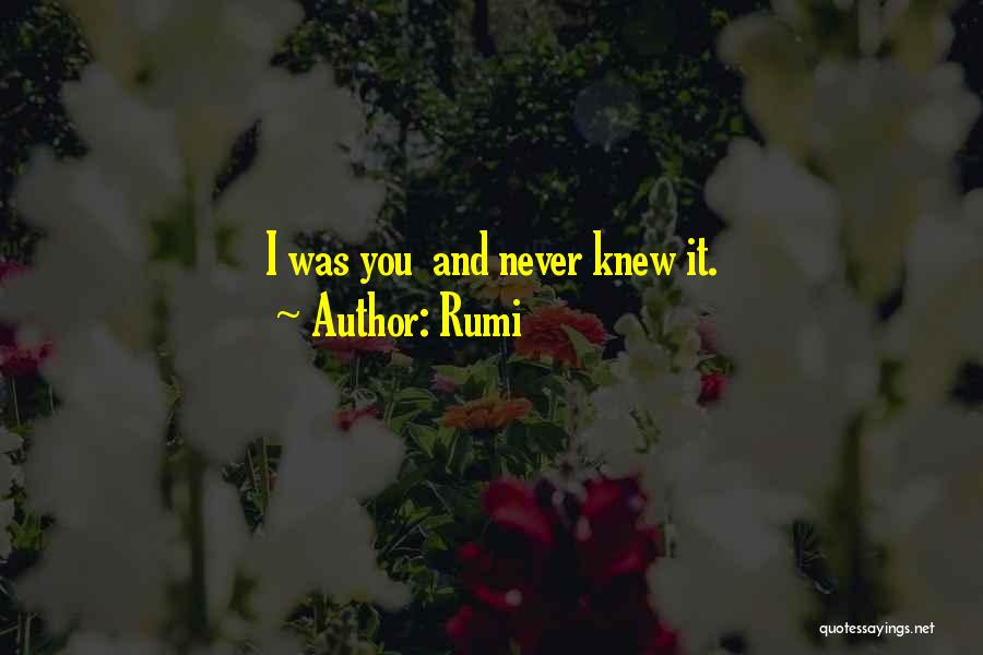 Rumi Quotes: I Was You And Never Knew It.